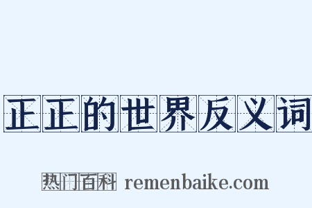 正正的世界反义词是什么意思的图片